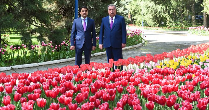 Лидер нации Эмомали Рахмон посетил парки культуры и отдыха города Душанбе